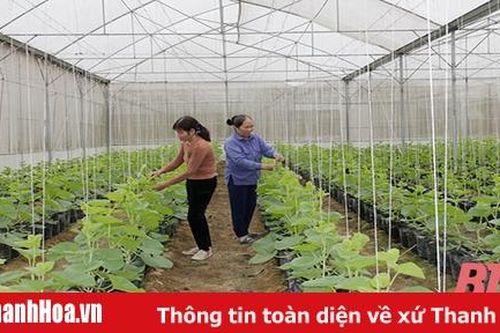 Xã Xuân Bái xây dựng nông thôn mới nâng cao