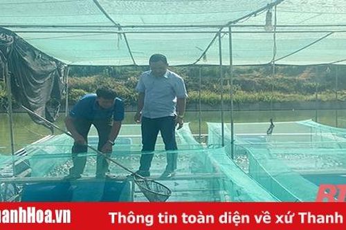 Xã Quảng Phú nâng cao thu nhập cho người dân