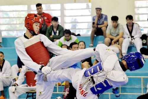 An Giang: Taekwondo phát triển vững chắc