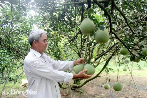 Du lịch Đồng Nai: Huyện Vĩnh Cửu mời gọi đầu tư vào du lịch