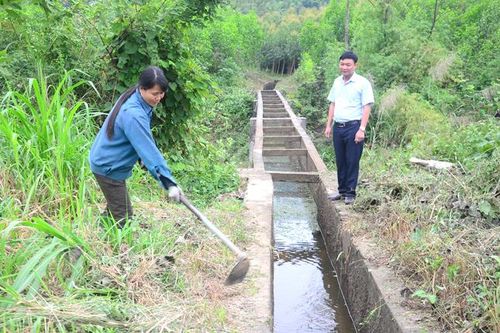 Bảo đảm nguồn nước phục vụ sản xuất vụ xuân 2021