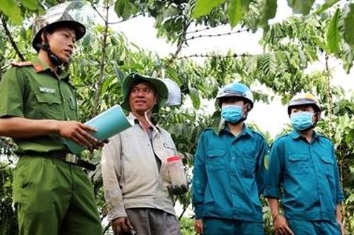 Chủ động phòng, chống tội phạm trong mùa thu hoạch cà phê