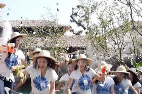 Sự cố hy hữu: Đang tạo dáng chụp hình, dàn thí sinh Hoa hậu Thái Lan bị rơi xuống vì cầu sập