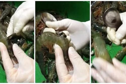 Cách cực mới làm sạch tôm gây xôn xao, chị em xem ngay còn áp dụng