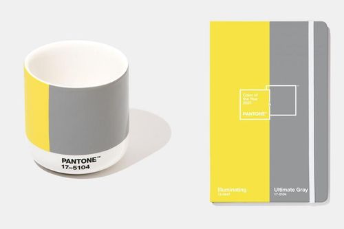 Pantone công bố hai 'Màu sắc của năm 2021': Tưởng chừng đối lập nhưng lại rất ý nghĩa!