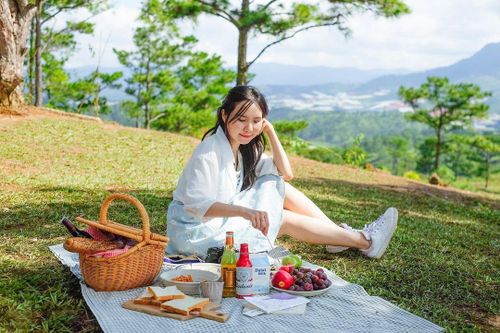 4 điểm cắm trại ở Đà Lạt cho chuyến check-in năm mới