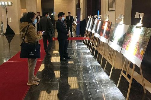 Việt Nam thúc đẩy vai trò của phụ nữ trong xây dựng hòa bình