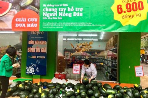 Góp phần nâng cao giá trị thương hiệu nông sản Việt Nam