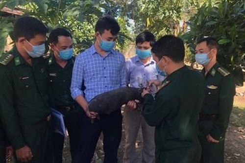 Bộ đội Biên phòng tỉnh Đắk Lắk tập huấn công tác hậu cần năm 2020
