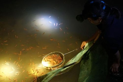 'Săn' lộc trời