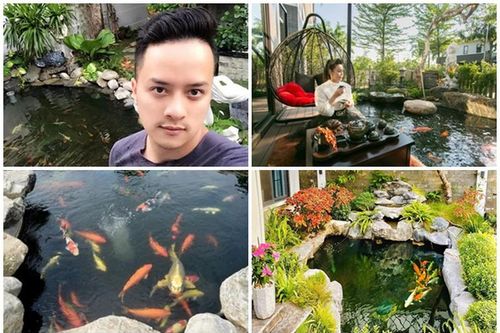 Hồ cá Koi tiền tỷ trong nhà sao Việt ai nhìn cũng 'trầm trồ'