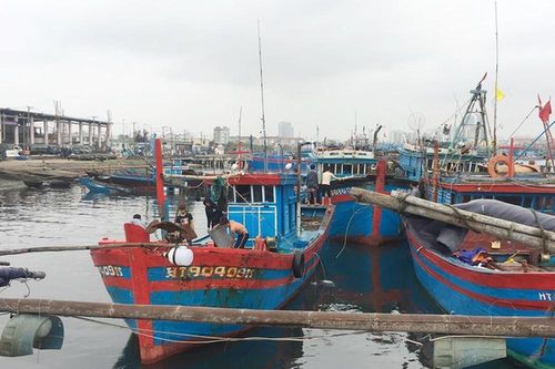 Đà Nẵng chi 112,4 tỷ đồng hỗ trợ ngư dân