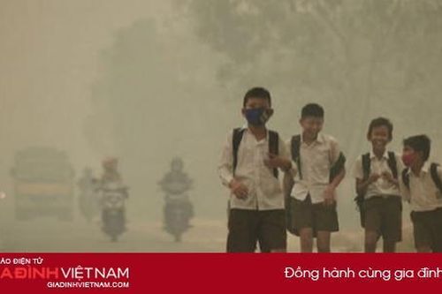 Ô nhiễm không khí làm suy giảm trí thông minh, khả năng ngôn ngữ