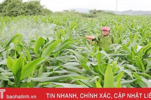 Công ty TNHH Vitad góp phần nâng cao giá trị sản xuất cho người dân Hà Tĩnh