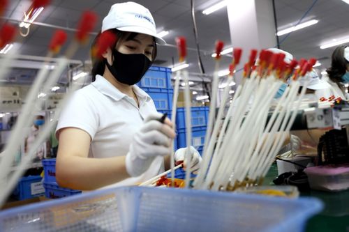 Đánh giá tác động kinh tế-xã hội của dịch COVID-19 tại Việt Nam