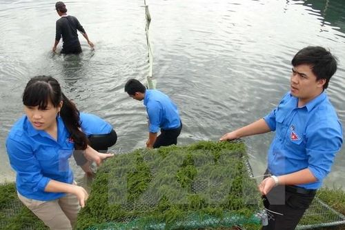 Gặp mặt thanh niên nông thôn tiêu biểu nhận Giải thưởng Lương Định Của