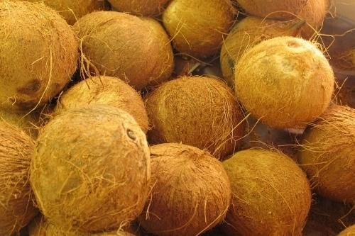 Giá thực phẩm hôm nay 10/12: Nhu cầu mua cao, giá dừa khô tăng mạnh