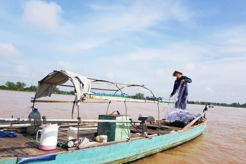 An Giang phát triển hài hòa thủy sản