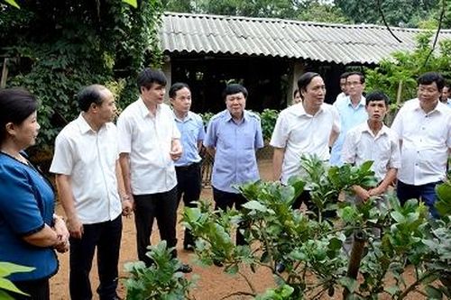 Khẳng định vai trò đại diện cho ý chí, nguyện vọng của cử tri