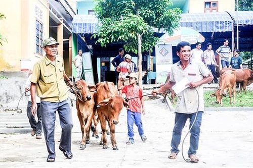 Cuộc sống mới của đồng bào dân tộc thiểu số