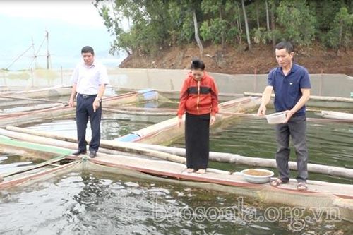 Ông Nói 'cá lồng'