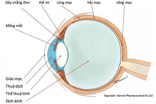 Các loại thể thủy tinh nhân tạo hiện đại dùng trong nhãn khoa