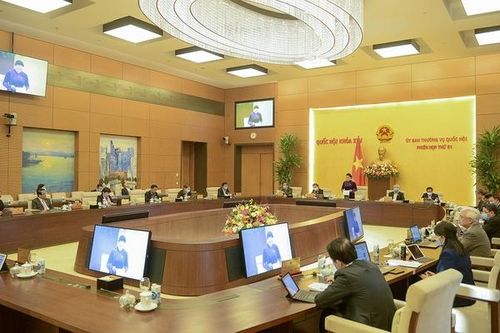Ủy ban Thường vụ Quốc hội thảo luận về Dự án Luật Phòng, chống ma túy (sửa đổi)