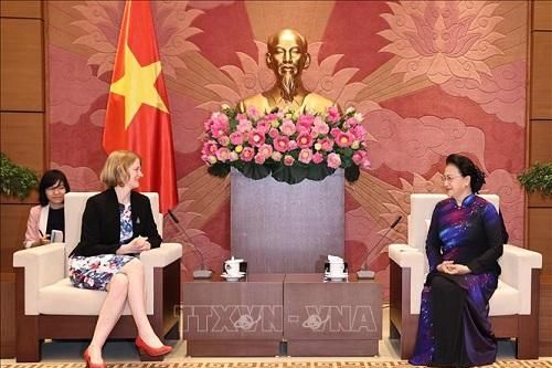 Chủ tịch Quốc hội tiếp Đại sứ các nước New Zealand, Chile và Indonesia