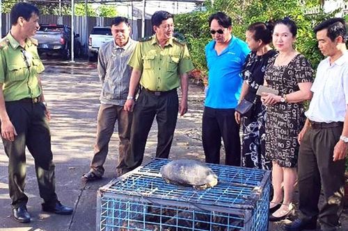 Kiên Giang vận động người dân giao nộp động vật quý hiếm