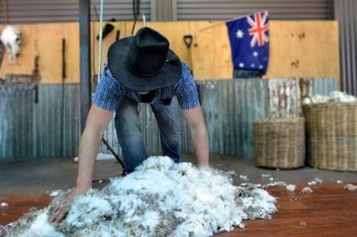 Sau rượu vang, sản phẩm nào của Australia sẽ rơi vào 'tầm ngắm' của Trung Quốc?
