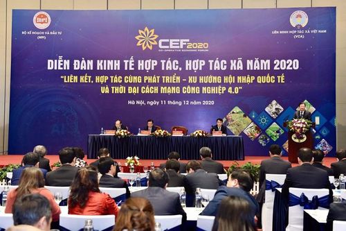 Nhiều hợp tác xã có doanh thu trên 100 tỷ đồng