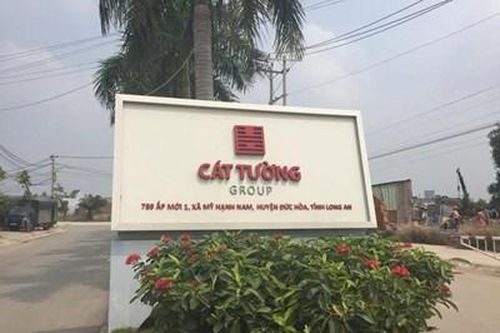 Công ty Cổ phần Tập đoàn địa ốc Cát Tường bị truy thu 533 triệu đồng