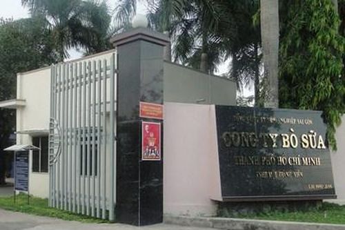 Công ty TNHH Một thành viên Bò sữa Thành phố kinh doanh thua lỗ hàng chục tỉ đồng