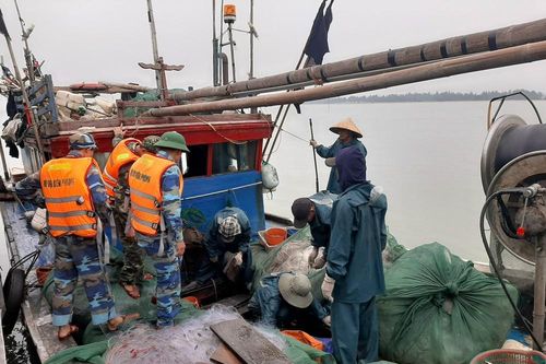 Bắt giữ 3 tàu cá khai thác thủy sản trái phép trên vùng biển Cửa Lò
