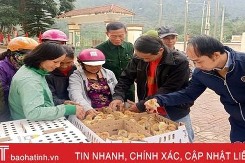 Trao 6.000 con gà giống, 6.800kg thức ăn chăn nuôi cho hộ nghèo Hương Sơn