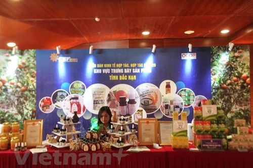 'Xác định rõ phát triển kinh tế tập thể là xu thế tất yếu'