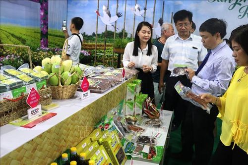 Trao chứng nhận cho gần 100 sản phẩm OCOP