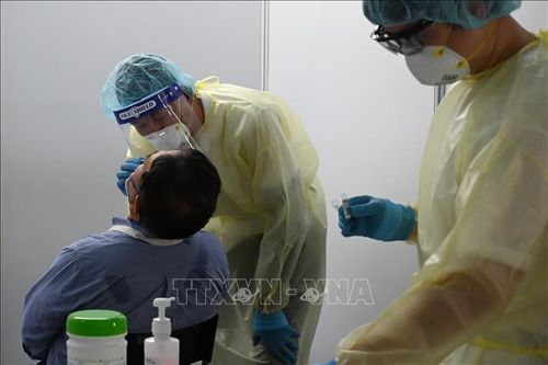 Singapore phê chuẩn bộ kit mới để đẩy nhanh năng lực xét nghiệm virus SARS-CoV-2