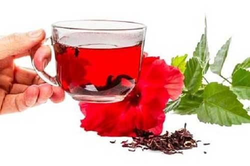Hoa dâm bụt có tác dụng kỳ diệu ngăn ngừa bệnh tim