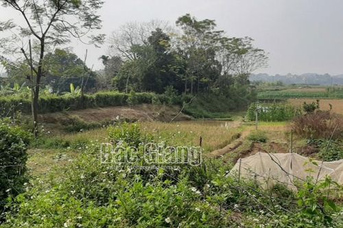 Phát hiện đôi nam nữ tử vong trong lều trông cá ngoài cánh đồng