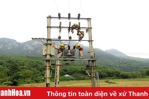 Điện lực Bá Thước đảm bảo cấp điện trong dịp lễ, tết