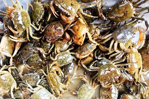 Hương vị quê nhà: Bữa cơm ấm áp