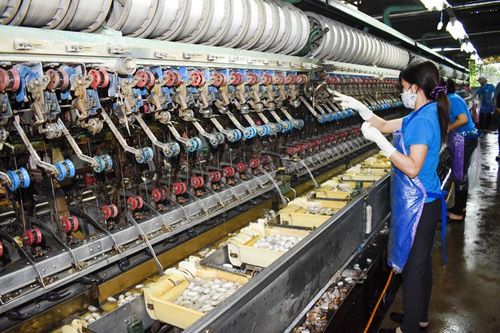 Phát triển dâu tằm tơ - cơ hội ''thị trường kép'' (Bài 1)