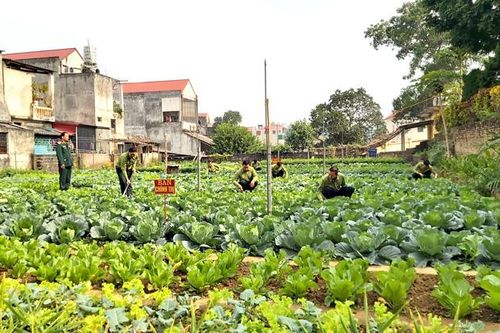 Mô hình điểm tăng gia sản xuất