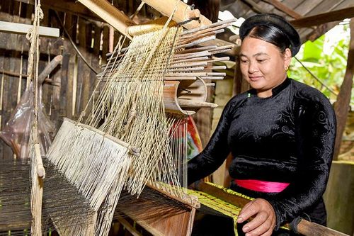 Tinh hoa từ đôi bàn tay