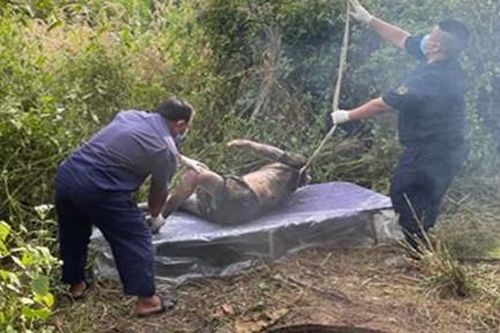 Phát hiện thi thể dưới giếng hoang trong vườn cao su