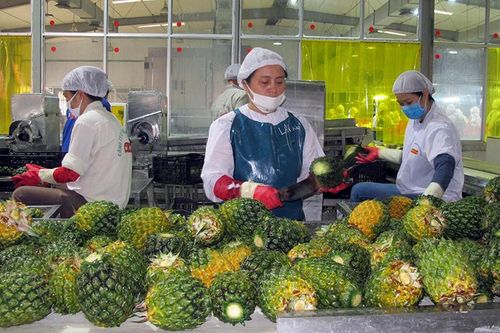 Chủ động, sáng tạo, hiện thực hóa quyết tâm của đại hội