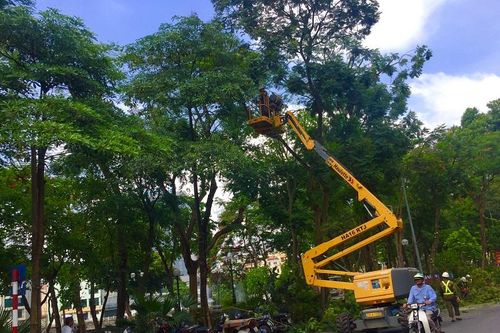 Định mức kinh tế kỹ thuật duy trì công viên, cây xanh, chăn nuôi động vật trưng bày