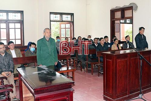 Bác kháng cáo của bị đơn về vụ tranh chấp bò hy hữu ở Hà Tĩnh