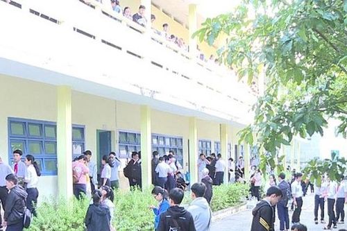 Khánh Hòa: 535 học sinh đạt giải kỳ thi học sinh giỏi cấp tỉnh